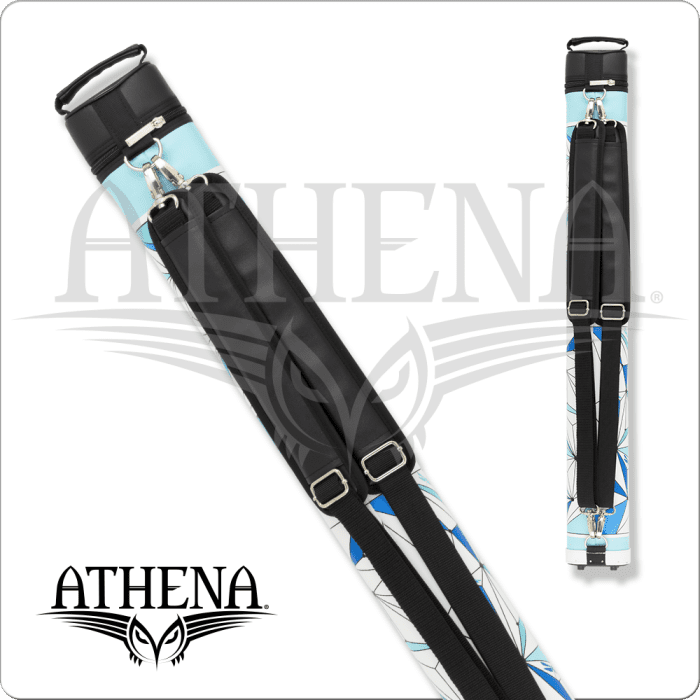 Athena 2x2 Hard Case ATHC19